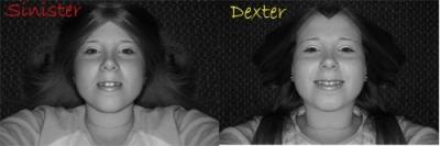 dexter/sinister